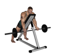 Reverse Row - Incline Barbell